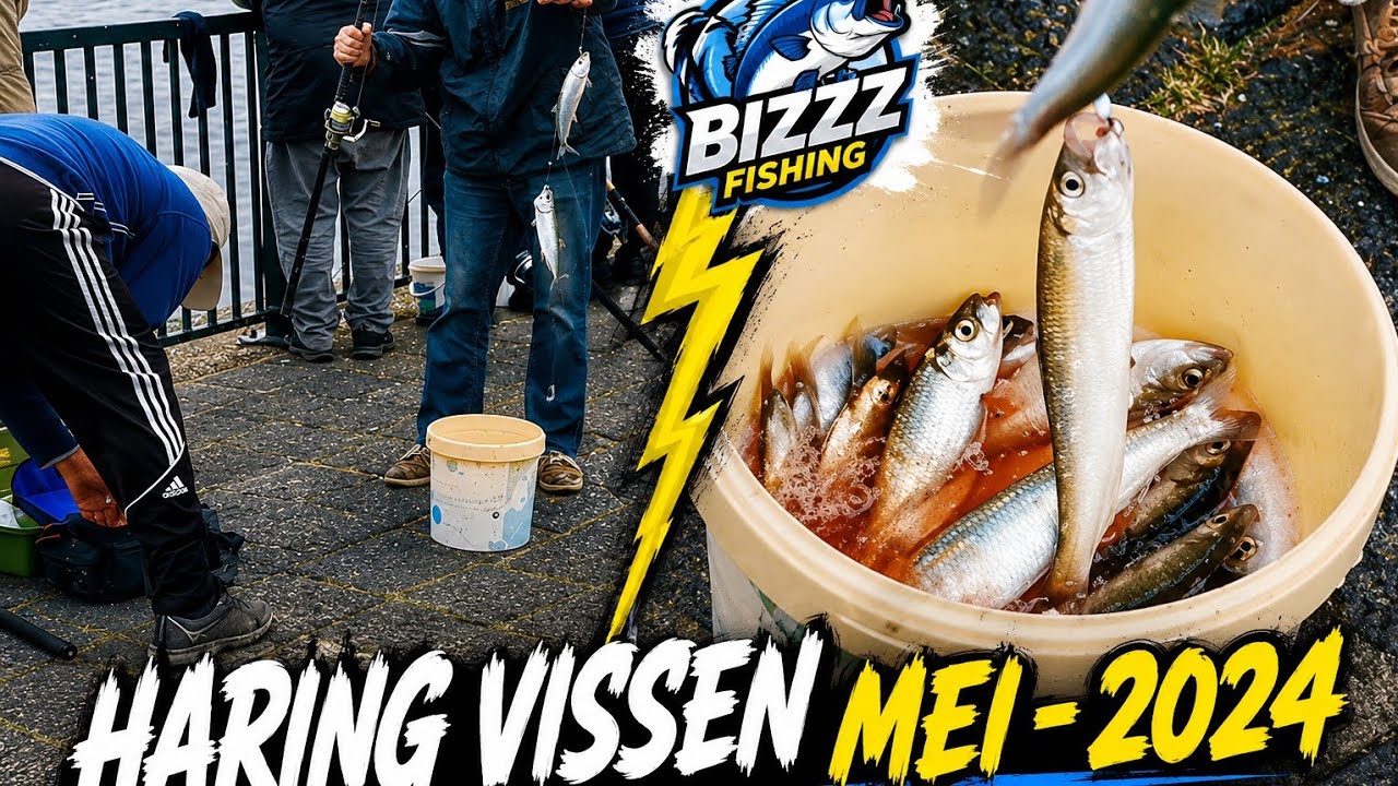 Haring vissen mei-2024. Fishing techniques