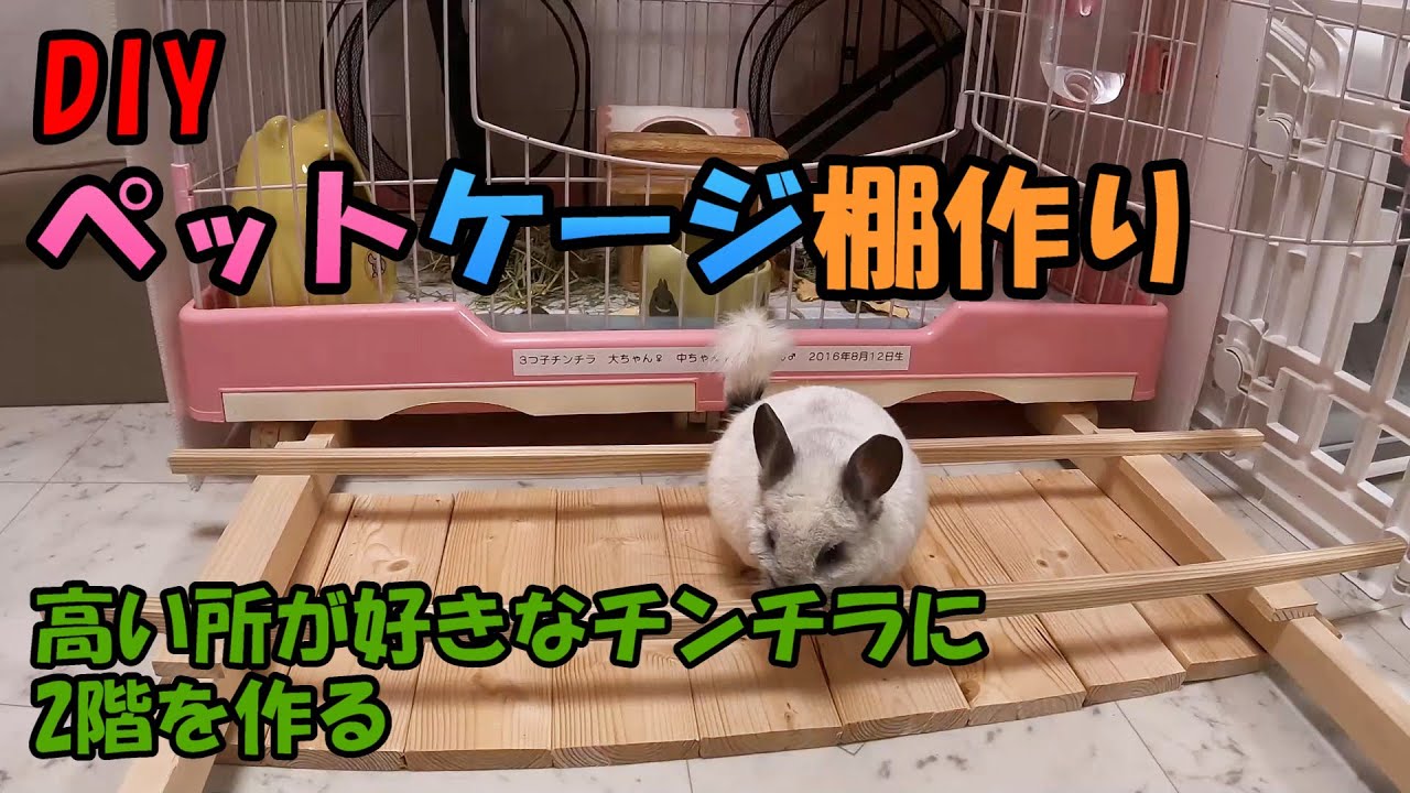 【DIY】ペットのケージを改造「チンチラたちが不思議そうに作業を見に来ました」
