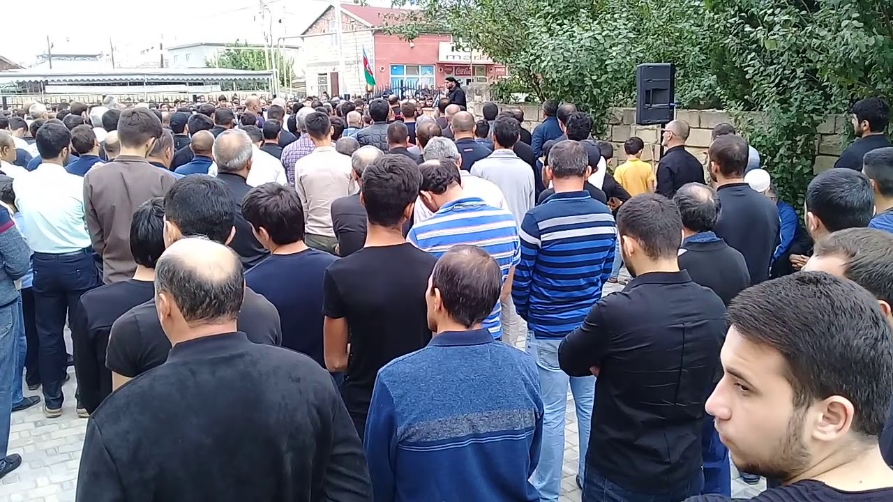 sirvan asura 2019