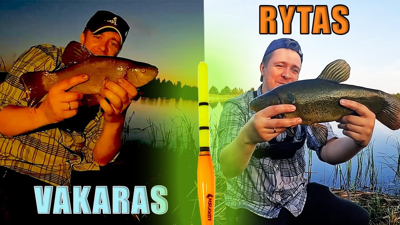 Lynų žvejyba sename žvyro karjere