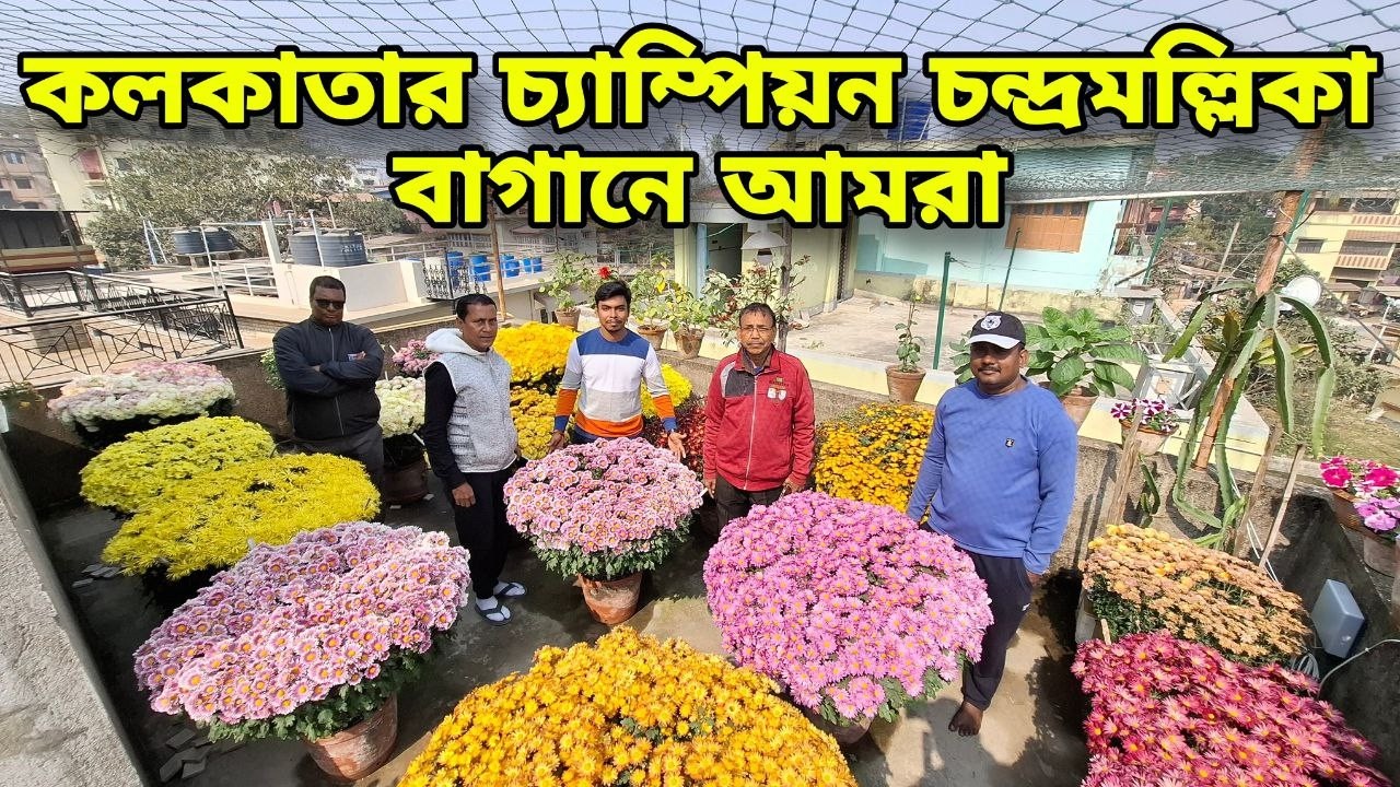 1নাম্বার শীতের বাগান দেখাবো আজকের ভিডিওতে , স্কিপ না করে দেখুন চমকে যাবেন | Garden overview|