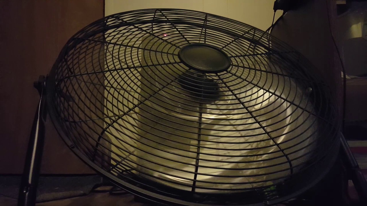 (2017-04-15) 30 Minutes of Fan [10 Min Loop]