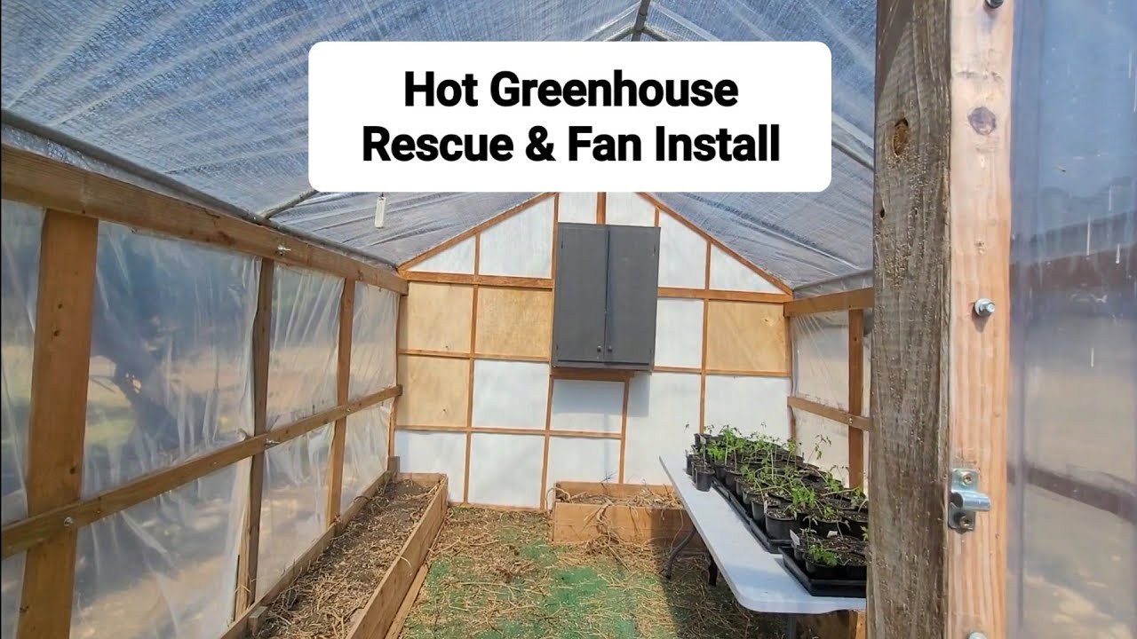 Texas Greenhouse Rescue: Cleaning the Mess + Installing an Exhaust Fan to Survive Summer Heat (DIY)
