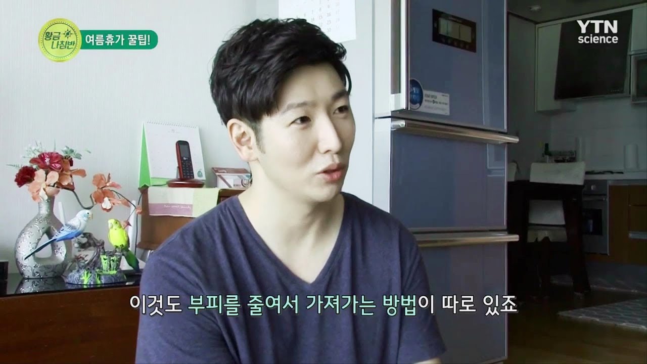 [방송] 여름휴가 꿀팁~ 여행준비 짐싸기!!  |  태오작가  |  YTN 황금나침반