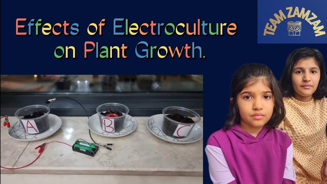 Effects of Electro culture on Plant Growth