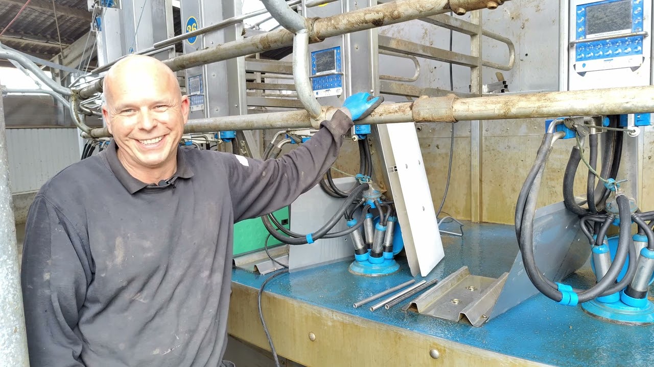 Dairy Systems Denmark: Enkeltdyrsregistrering 2022