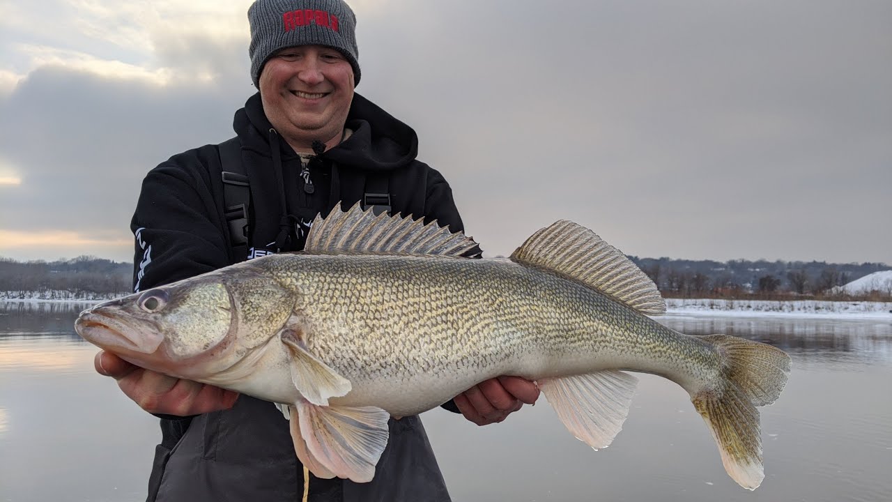 Slow Dragging Jigs and Plastics For MAGNUM Winter Walleye on Mississippi River Pool 2 | S14 E13