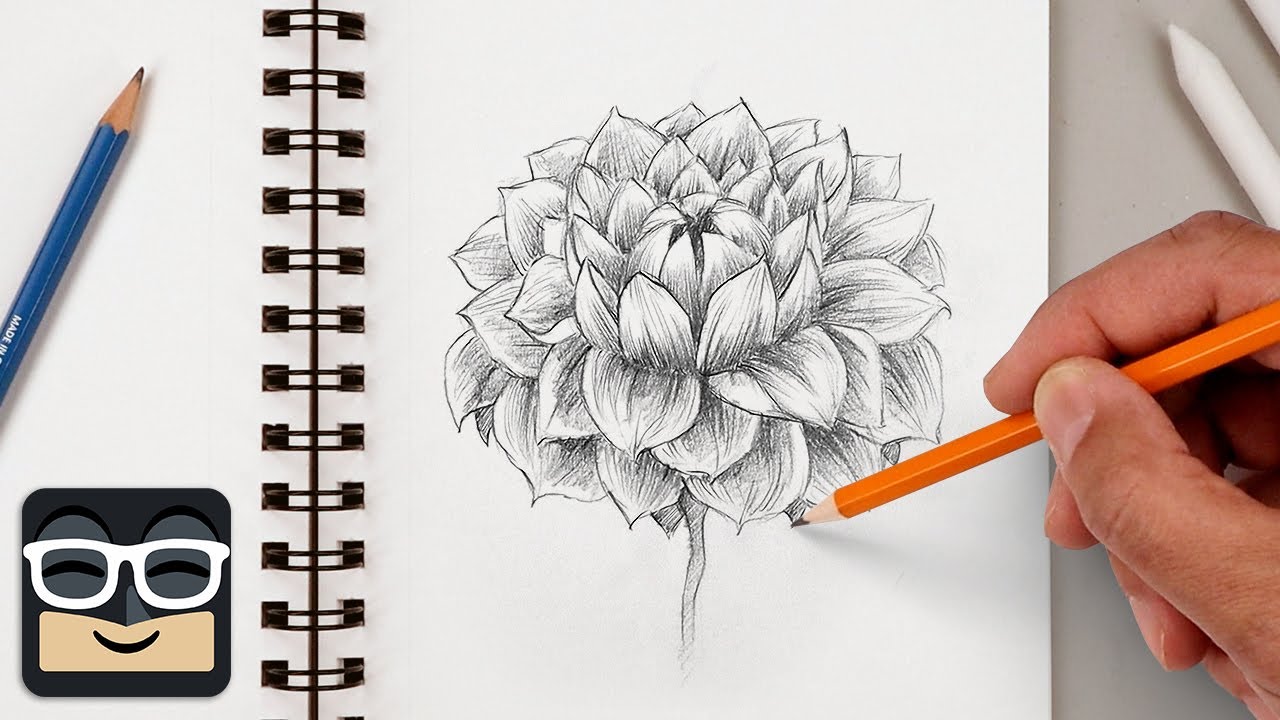 How to Draw a Realistic Dahlia | Step by Step Sketch Tutorial