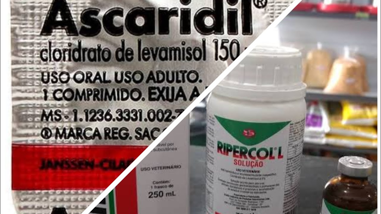 Eliminando planarias com ripercol/ ascaridil