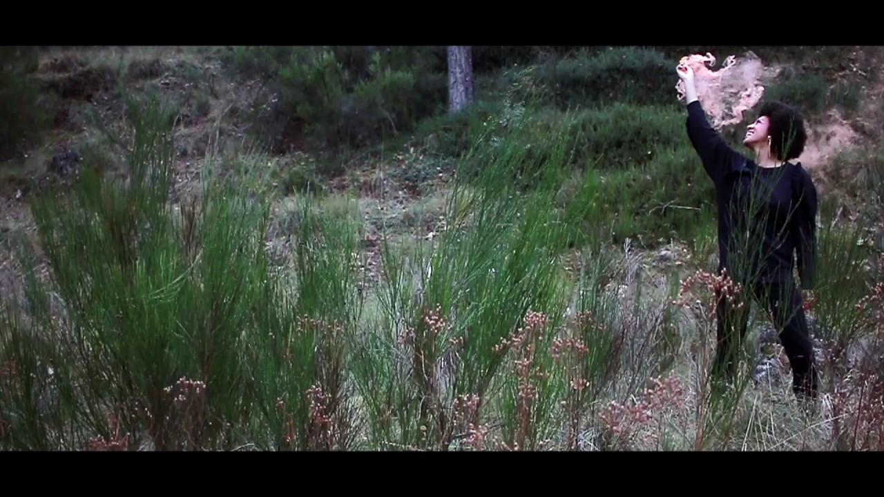 Virado Studio x ferdelarosa (TEASER)