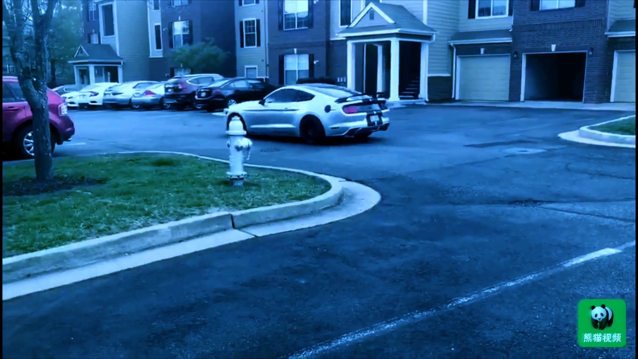 The Best Exhaust Set Up for Mustang ecoboost 2.3t野马最好的排气系统： Mishimoto Catted Down Pipe + MBRP Race