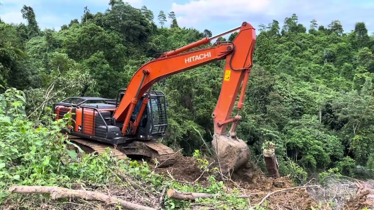 Excavator Power Clearing a Steep Forest Hillside