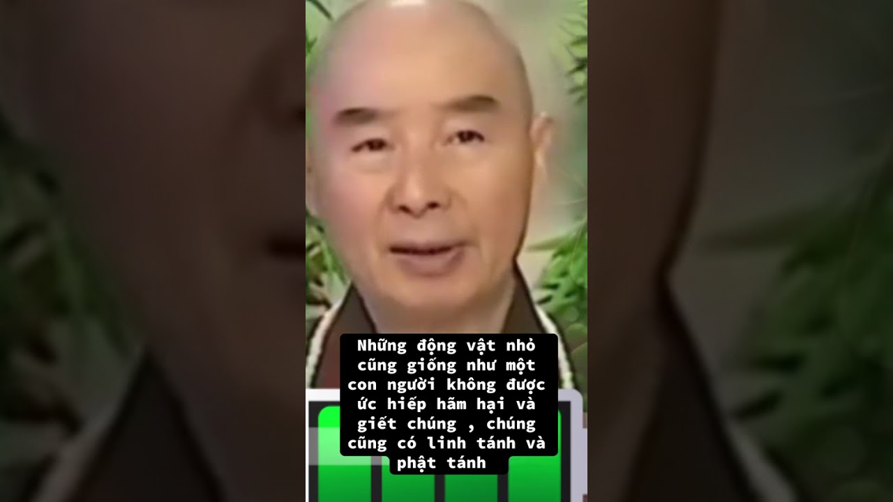 Những Động Vật Nhỏ cũng Giống Như Con Người 