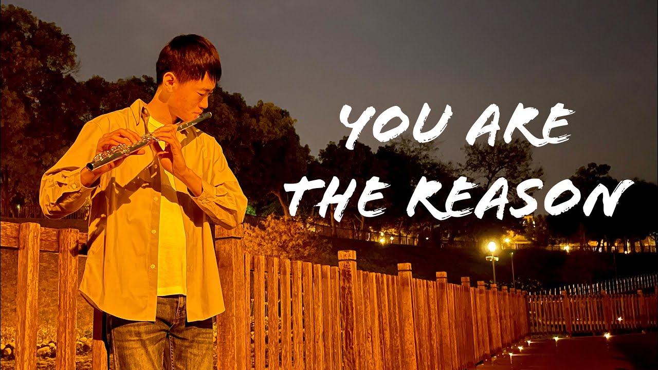 Calum Scott《You Are The Reason》｜小平Flute