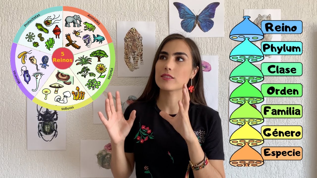 &iquest;Qu&eacute; es y para qu&eacute; nos sirve la taxonom&iacute;a?