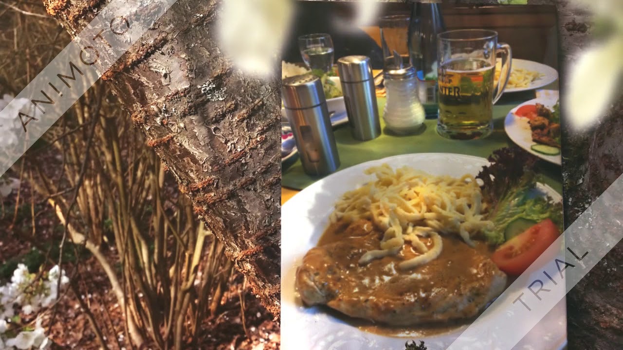 Schwarzwald Wanderreiten Todtmoos-Au