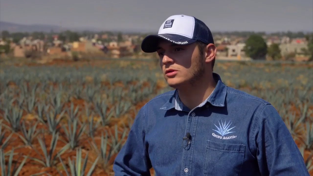 Seminario de Agave
