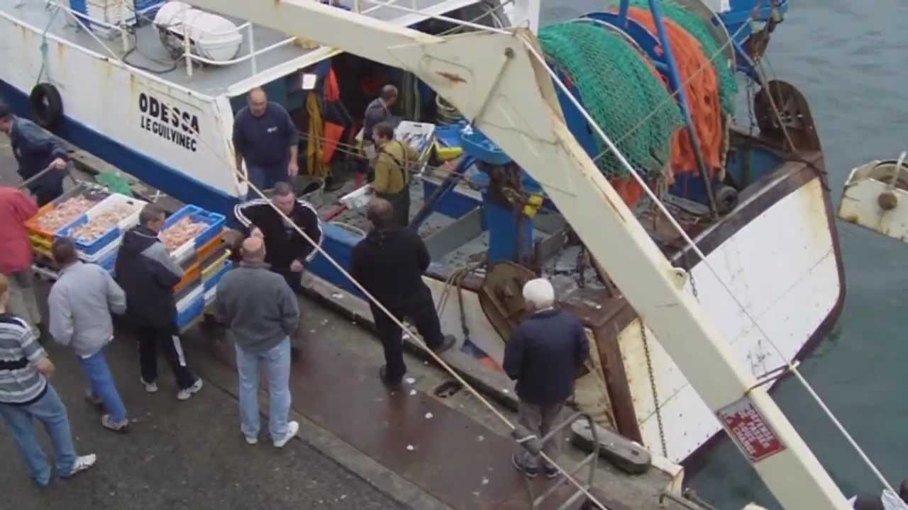 Les bateaux au port du Guilvinec