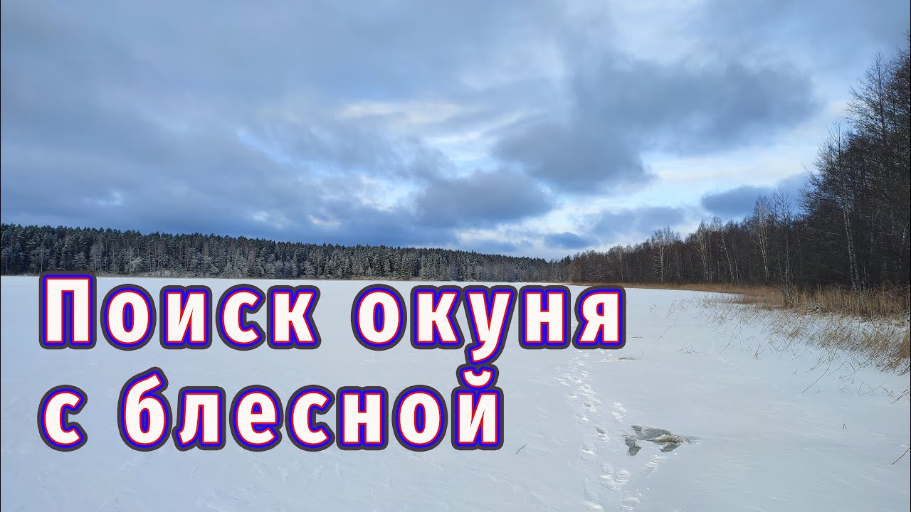 Нашли озеро где много окуня! Блесна выручает!