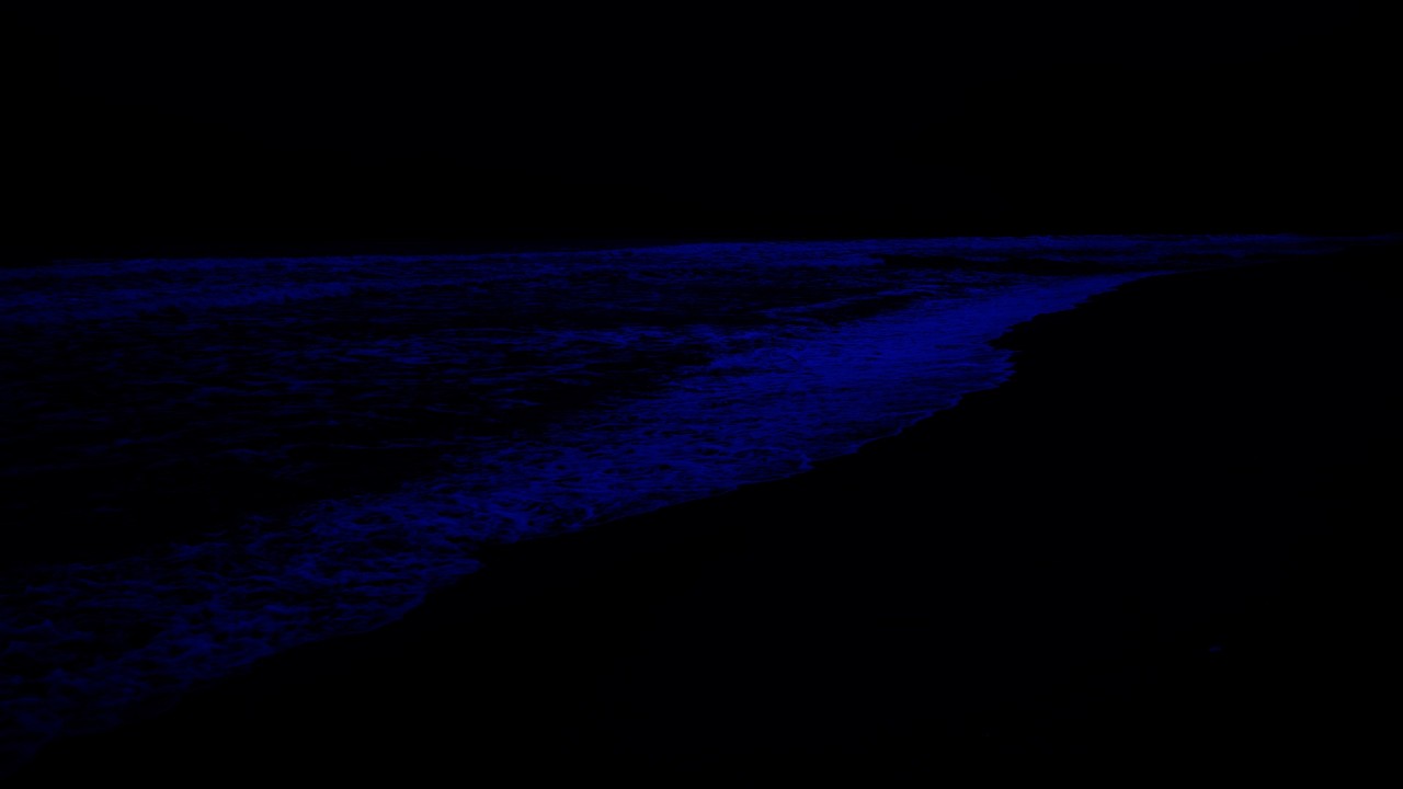 No Ads Original sounds to make you sleep! 💤 Ocean Sounds for Stress Release & Emotional Balance