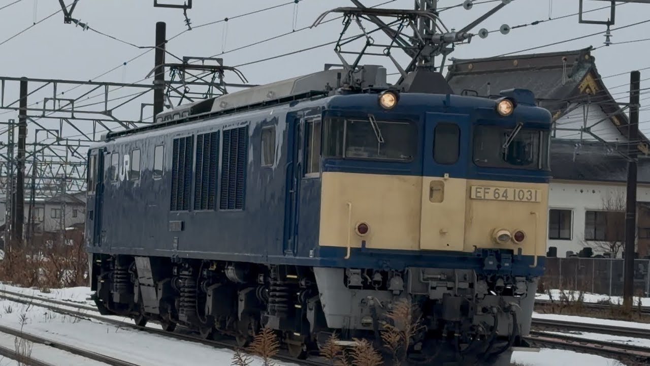 【信越カッター(信越線霜取り列車)2往復目(復路)】【単9323レ】国鉄EF64形1000番台1031号機〔新潟〕が単機で宮内駅~長岡駅間の撮影地を通過！　2026年1月18日