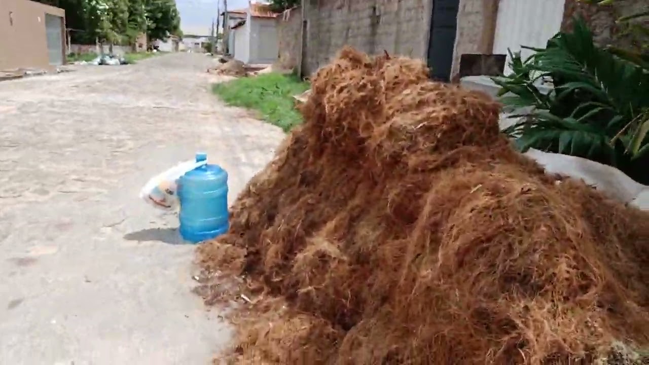 2026 compostagem orgânica!👨‍🌾 