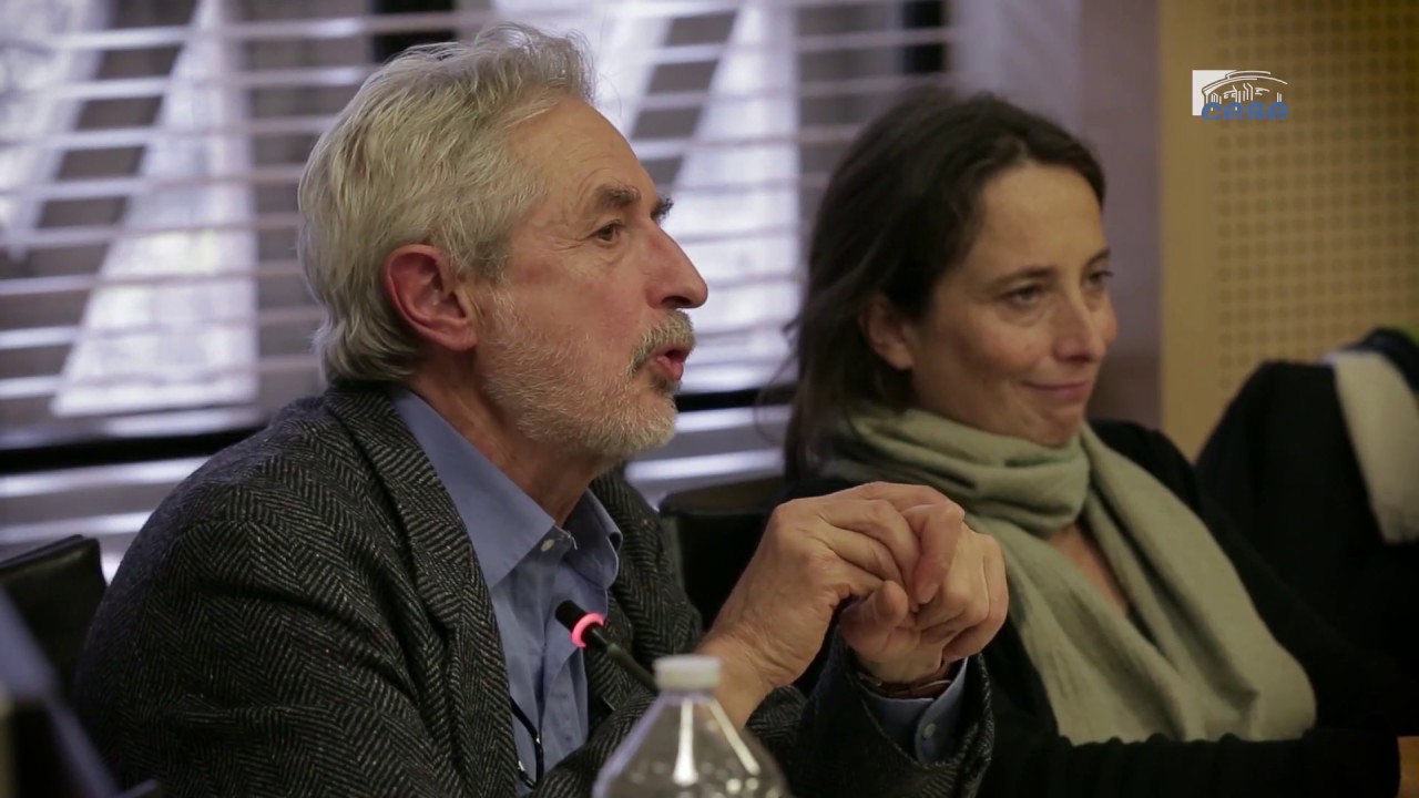 Questions à Jean-Marie HARRIBEY (Economiste) - Revenu citoyen - cese