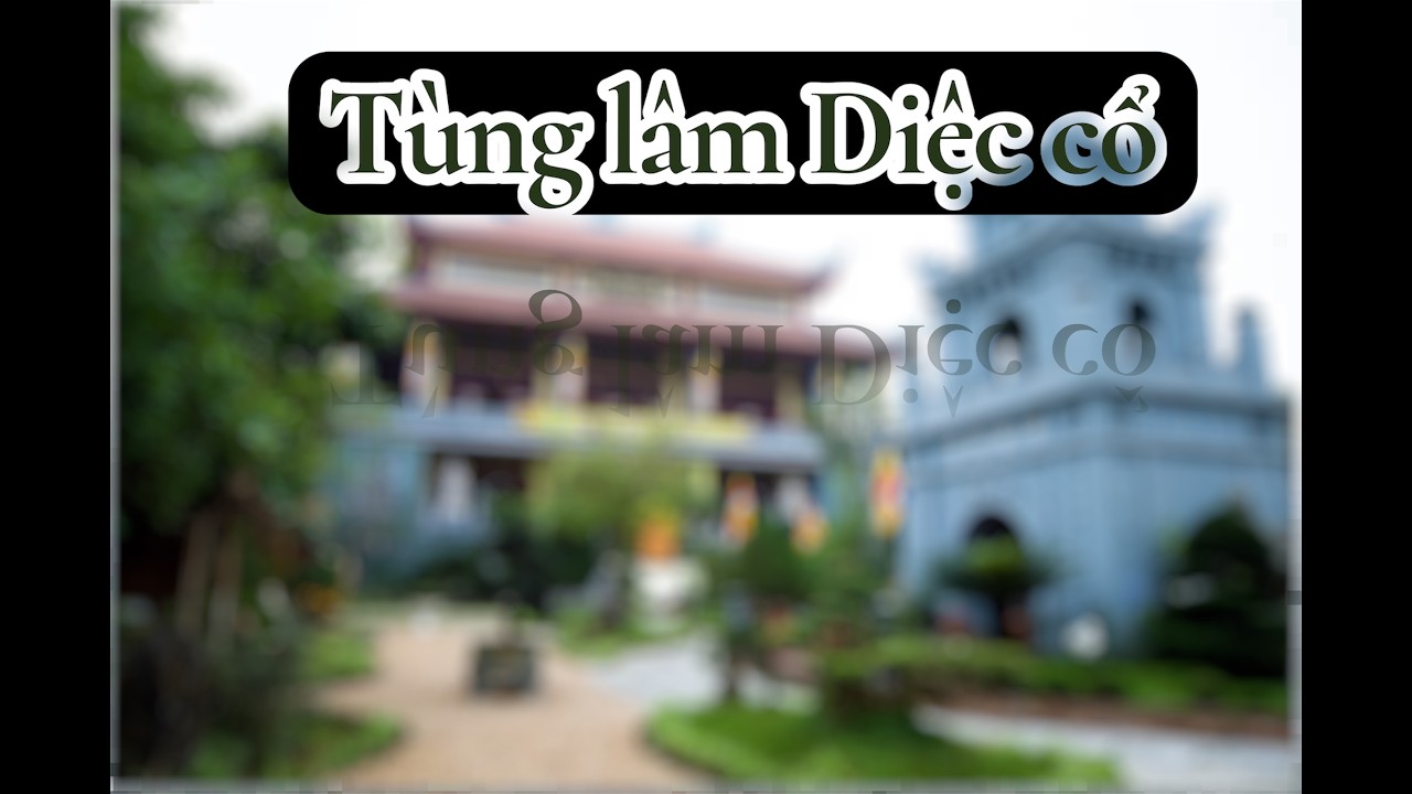 TÙNG LÂM DIỆC CỔ