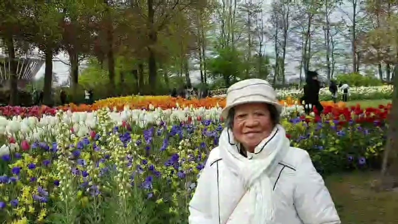 Tết 2026 - The beste Tulips garden Keukenhof - The Netherlands