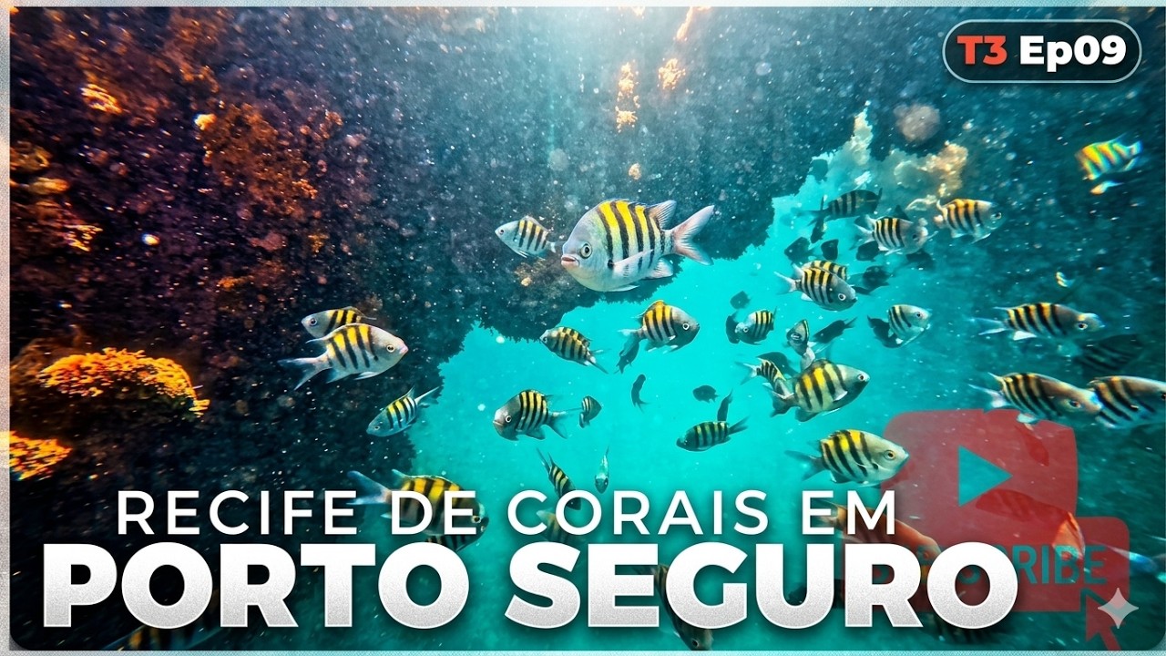 T3 Ep09 Explorando os recifes de corais de Porto Seguro de Kombi no Camping do Santinho BA