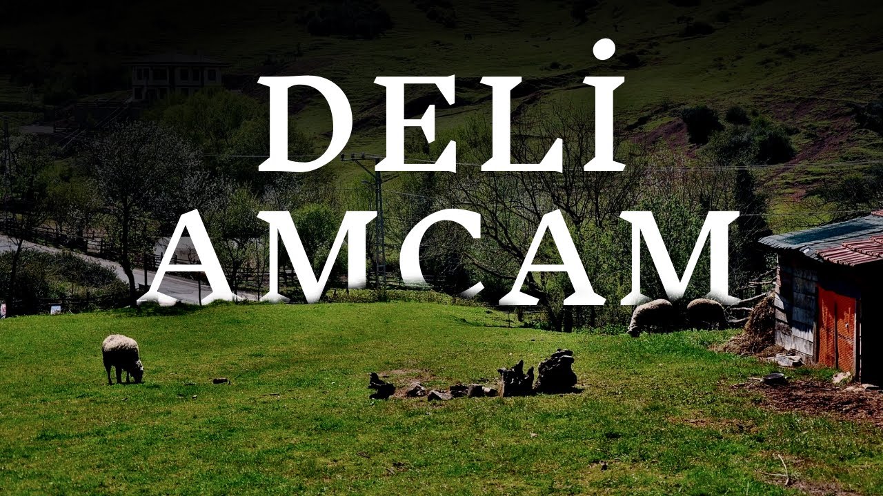 Adanalı Gencin Deli Amcasıyla Yaşadığı Korkunç Olaylar - Cin Hikayeleri - Korku Hikayeleri