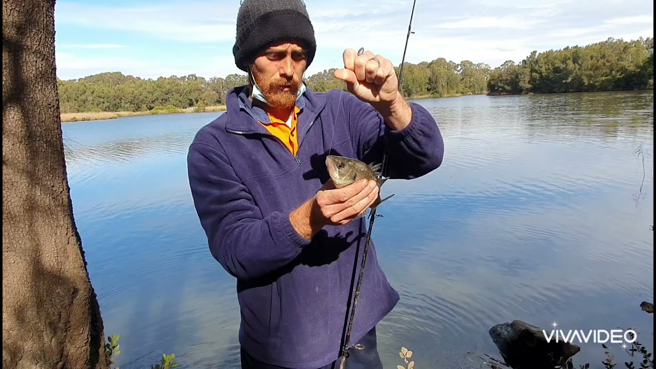 Georges River #4 I Fishing for Estuary Perch, Australian Bass & Mullet.