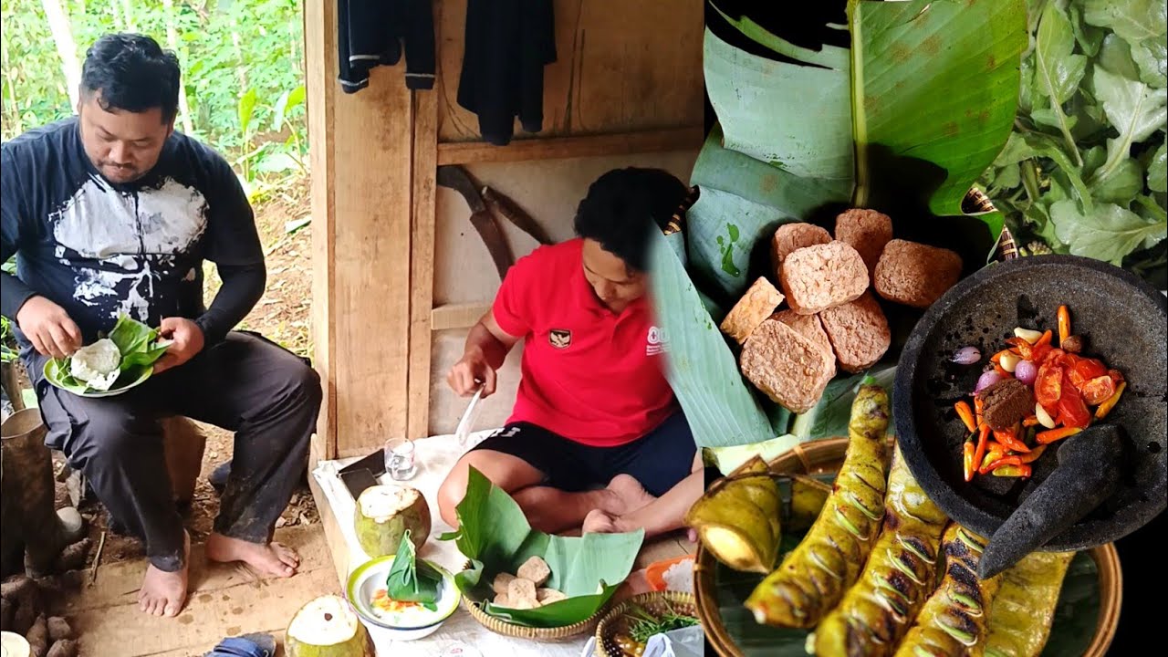 Video terbaru kedatangan 2 orang makan bareng tempe goreng sambal terasi kuluban legetan sawah