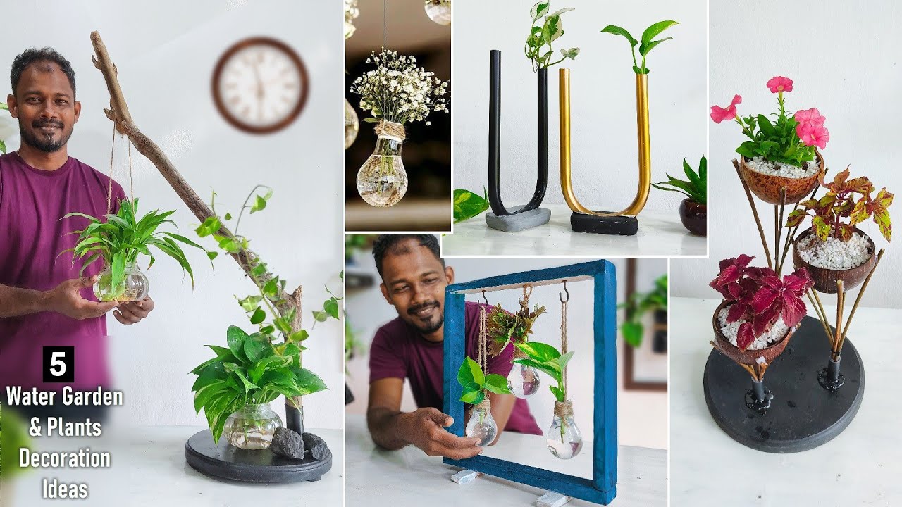 5 Indoor Water Garden & Indoor Plants Decoration & Display Ideas for Your Lovely Home//GREEN PLANTS