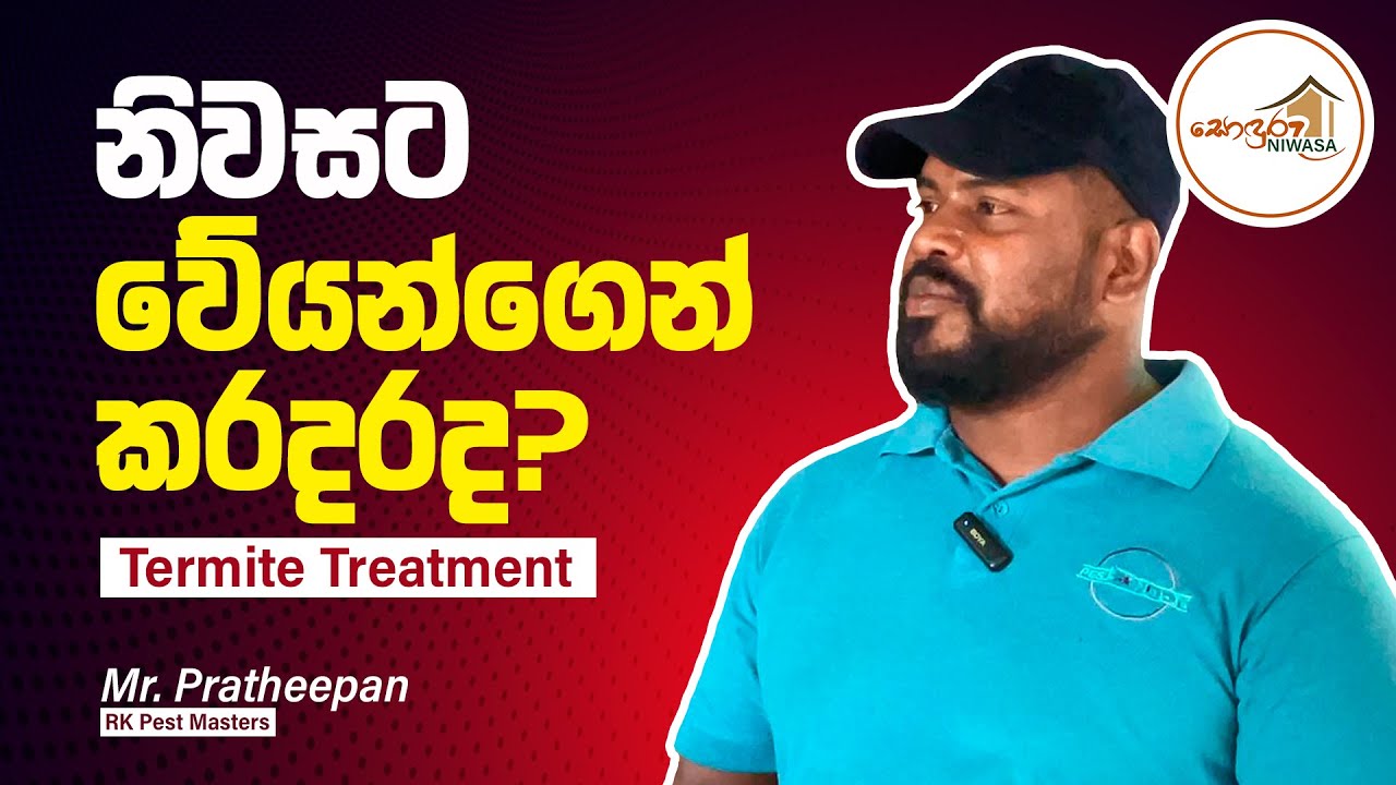 නිවසට වේයන්ගෙන් කරදරද? | Protect Your Home from Pests! | Termite treatment | Sonduru Niwasa