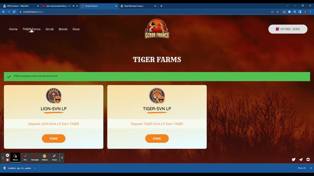 Scrub Finance (3)Crazy Gains📈🤑 Mmf launchpad Lion🦁 Tiger 🐅  #scrubfinance #cryptocom #mmfinance