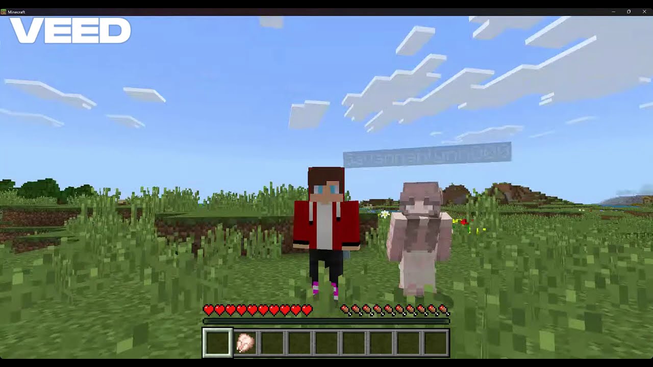 Hide in seek against my noob sister!