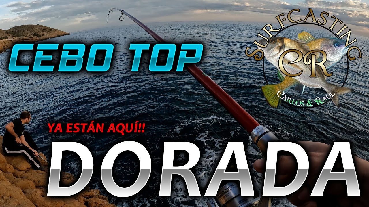 🔵 TODO AL MISMO CEBO TOP | BUENAS PIEZAS | SURFCASTING CR 🔵