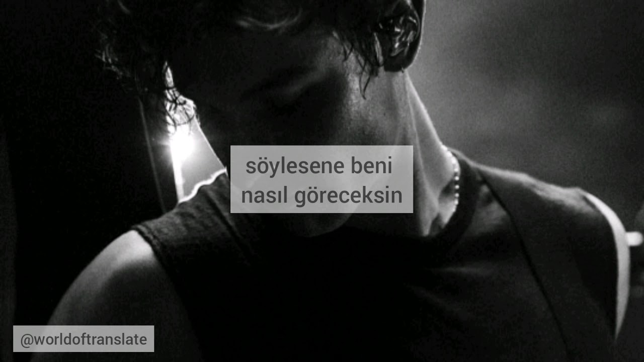 Shawn Mendes - Love Me Or Leave Me Türkçe Çeviri (Unreleased song)