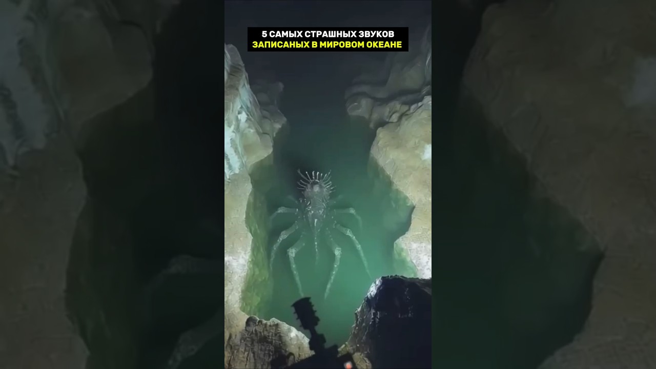 5 самых страшных звуков океана
