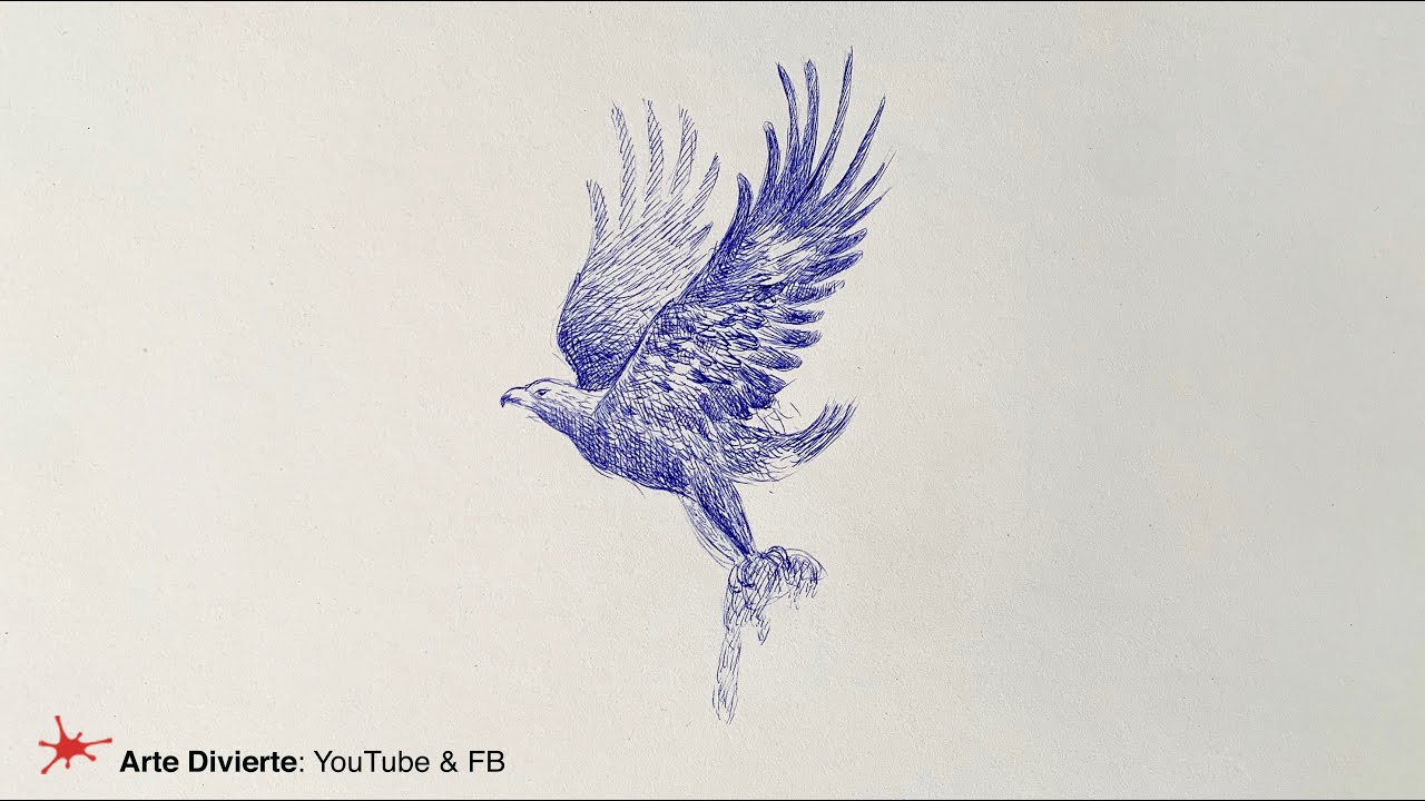DIBUJANDO UN ÁGUILA CON UN BOLÍGRAFO BARATO - Timelapse