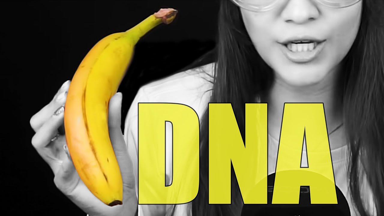 Como extraer el ADN de una banana. Experimento científico | ASMR Español | Asmr with Sasha
