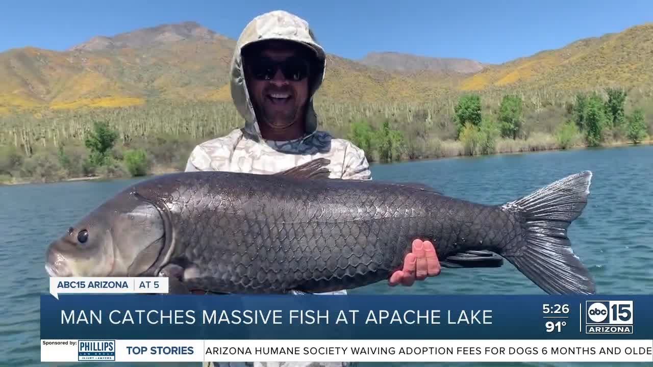 Valley realtor catches massive fish at Apache Lake