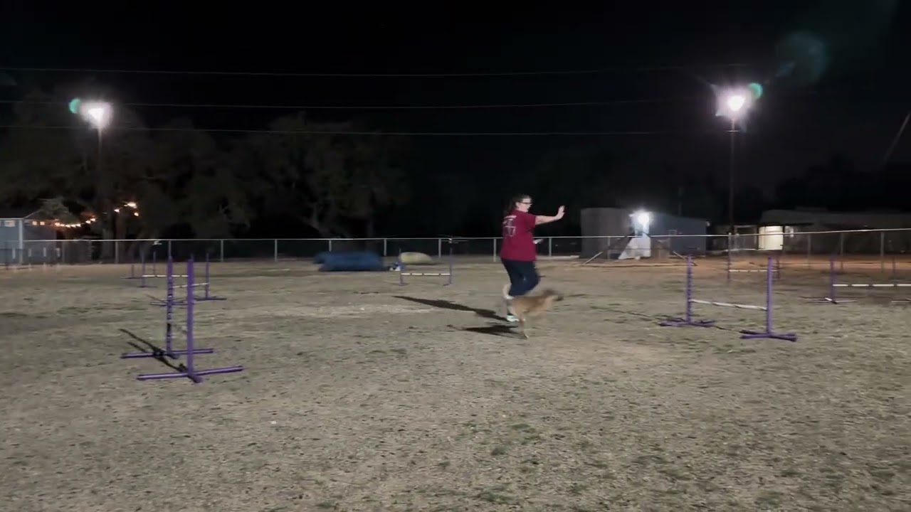 Toby/Heart/Novice Jumpers/Rd 2