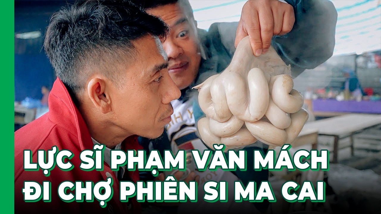 Hải SAPA TV ăn sập chợ phiên Si Ma Cai cùng Phạm Dũng Phan Diễm, lực sĩ Phạm Văn Mách, Tú Xe Đầu Kéo