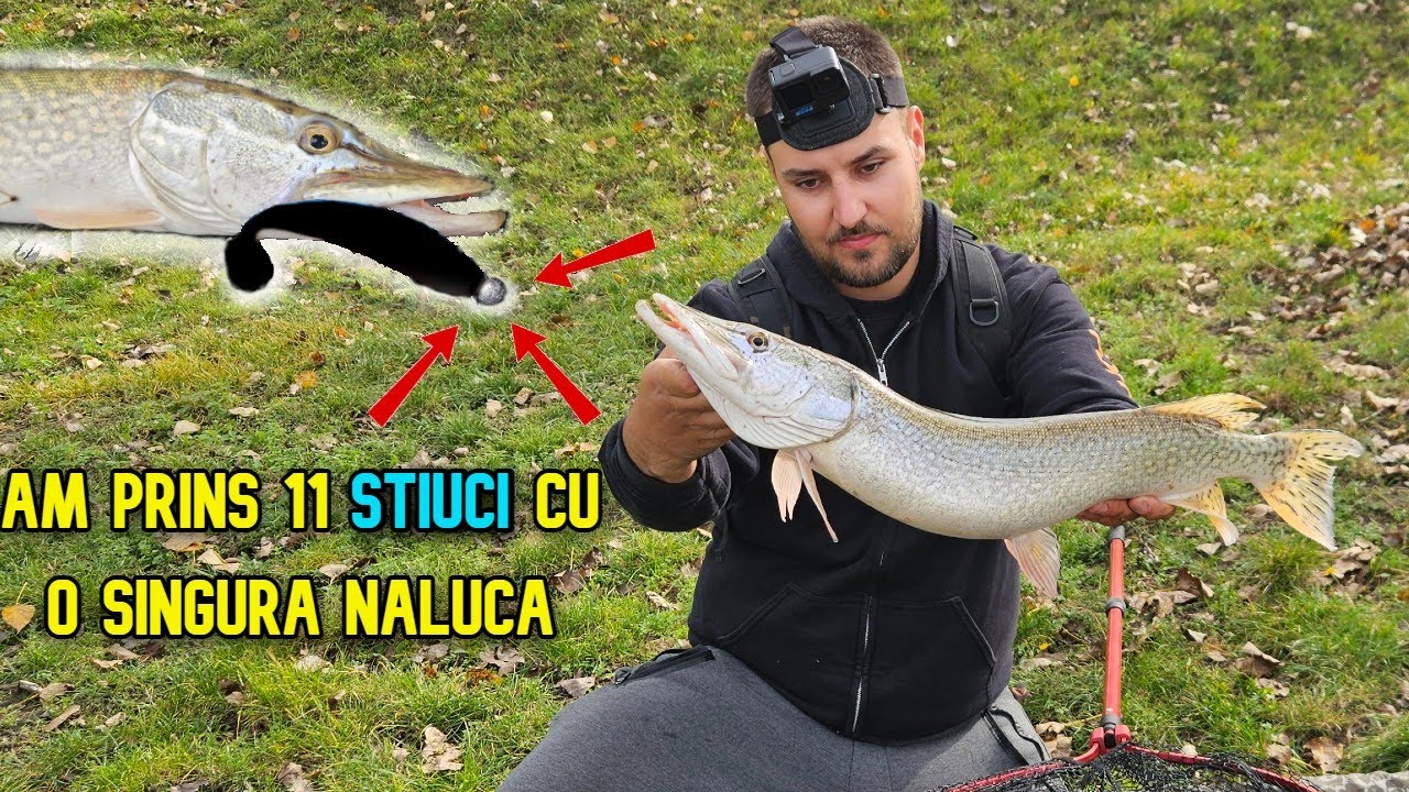 Câte ȘTIUCI Poți Prinde în Doar 3 Ore? | Pescuit la Rapitor