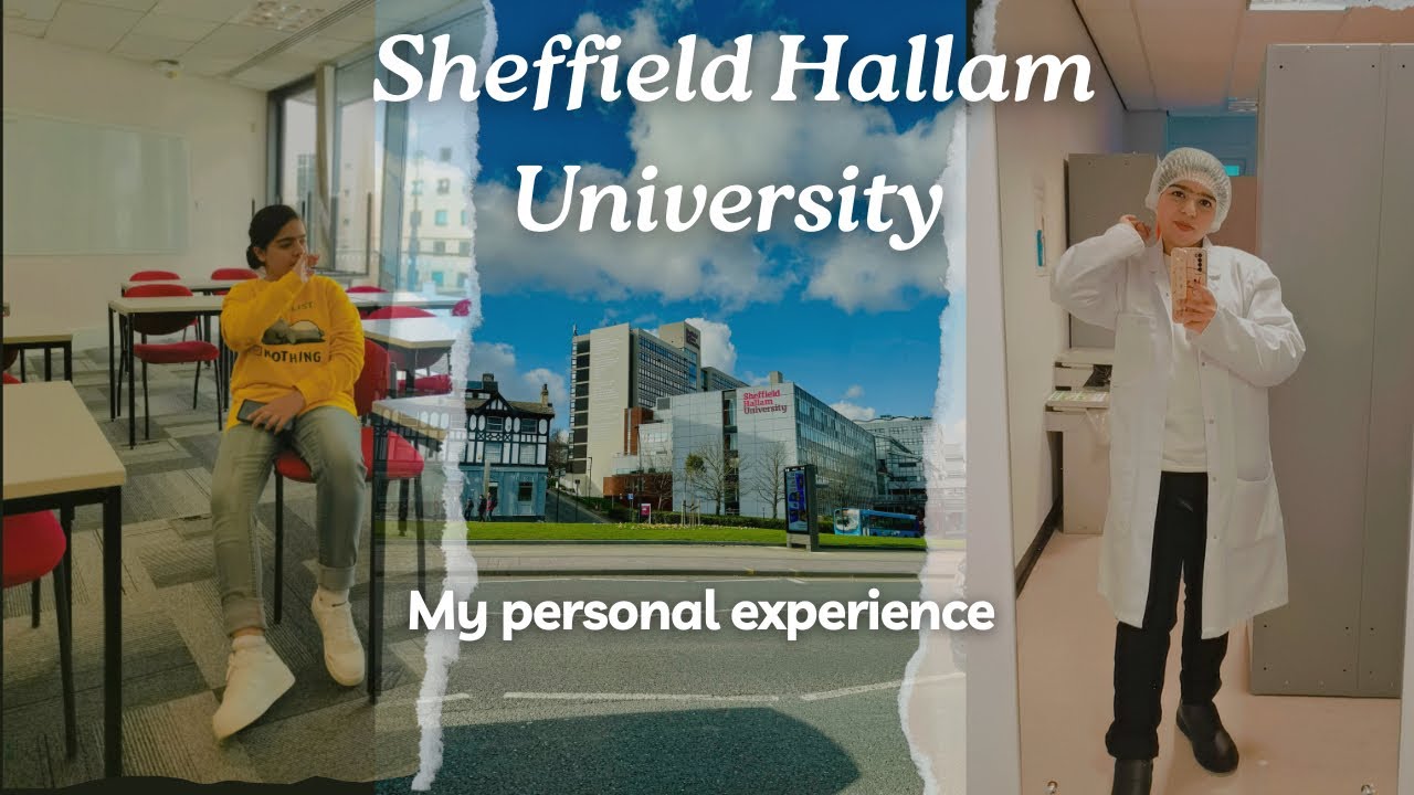 Sheffield Hallam University: My Experience and Transform Together Scholarship| Study in UK