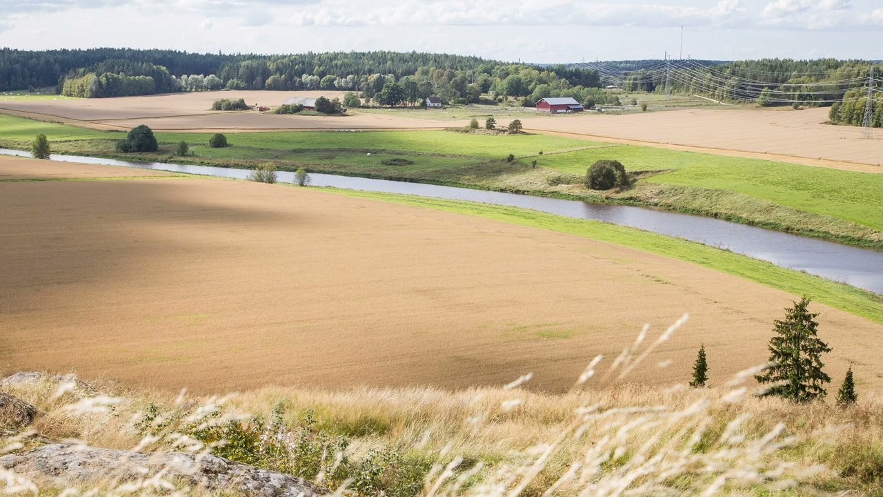 SVK 583 - Veisaten Herralle kunniaa kannamme