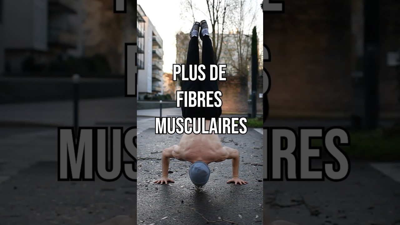 Recruter plus de Fibres Musculaires