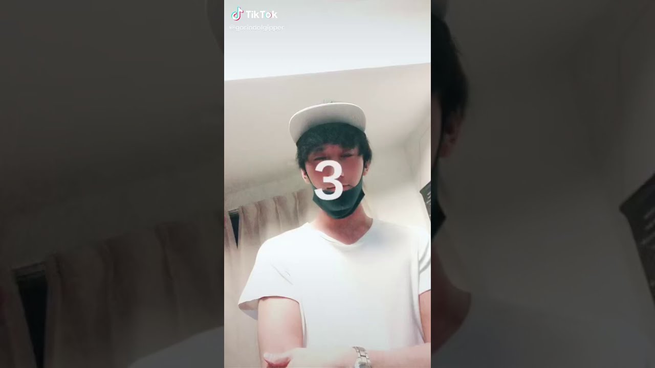 【TikTok】似てる？似てない？ほぼ同一人物！ゴリンドルジッパー、ハリー